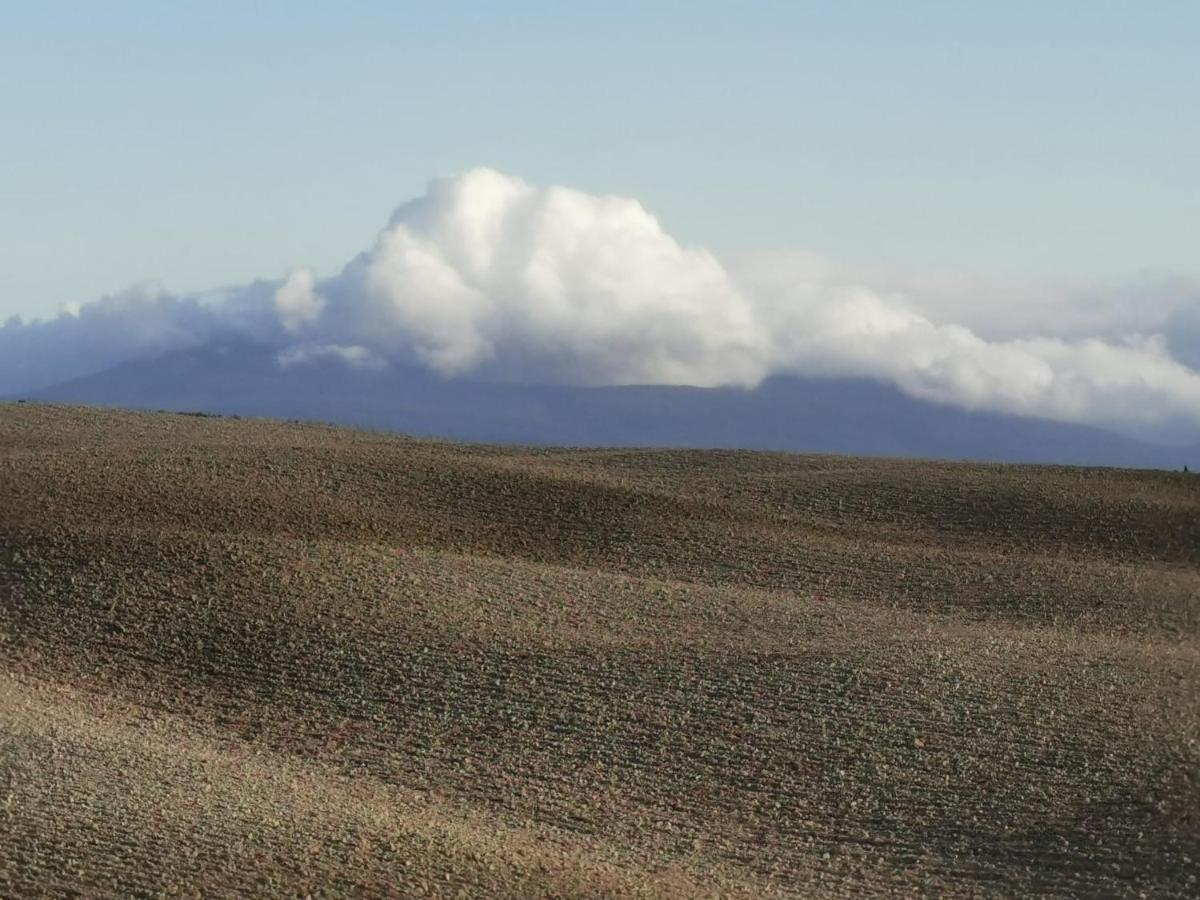 Goccia In Valdorcia Smart Home San Quirico d'Orcia Exterior photo